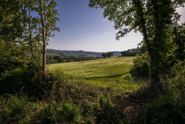  La cultura non si ferma 